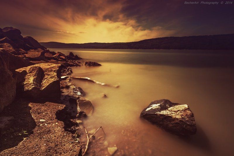 Silence Tells Morephoto preview