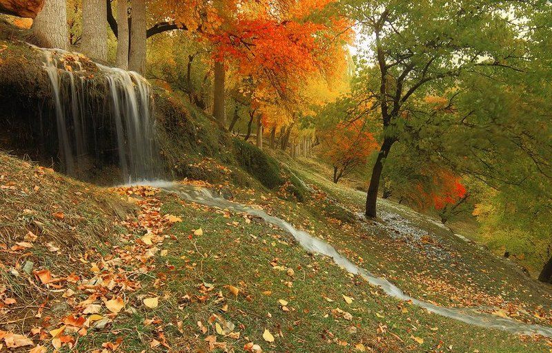 ===g===photo preview