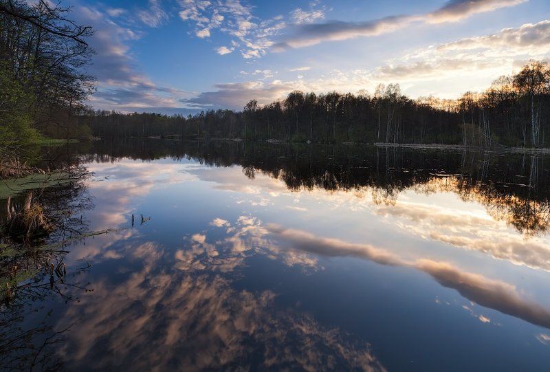 У болотаphoto preview