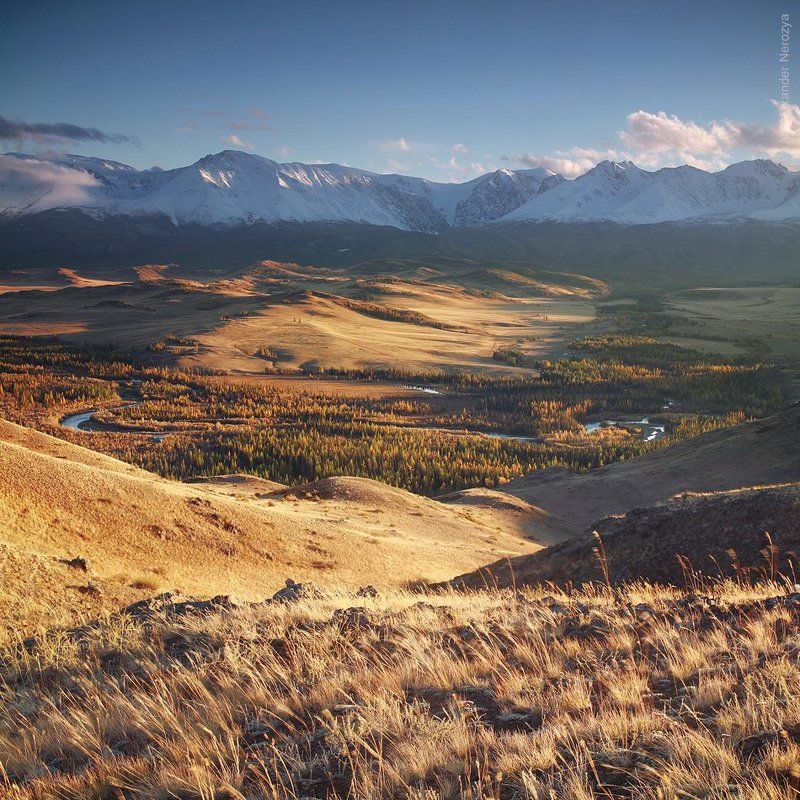 Курайphoto preview