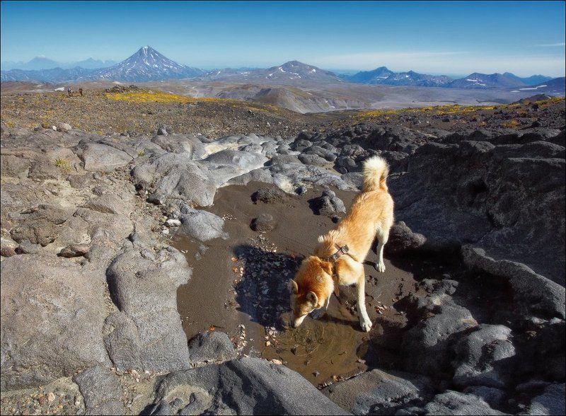Попить по пути на вулкан.photo preview