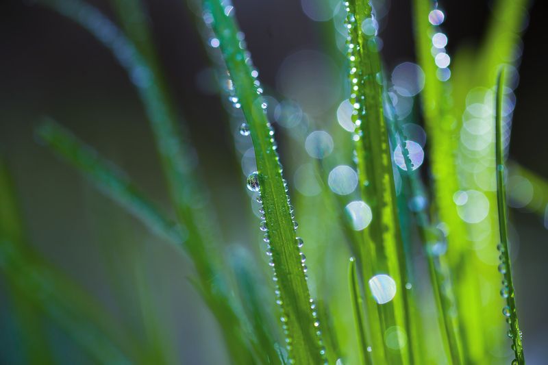 Простые сложностиphoto preview