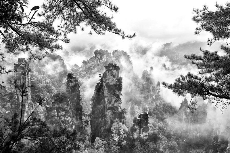 Рисунки Мастера Природы...photo preview