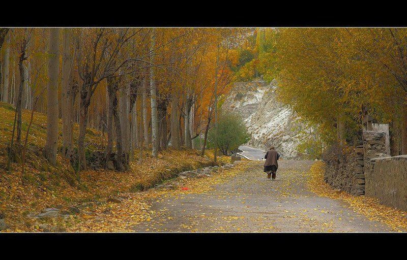 ===f===photo preview