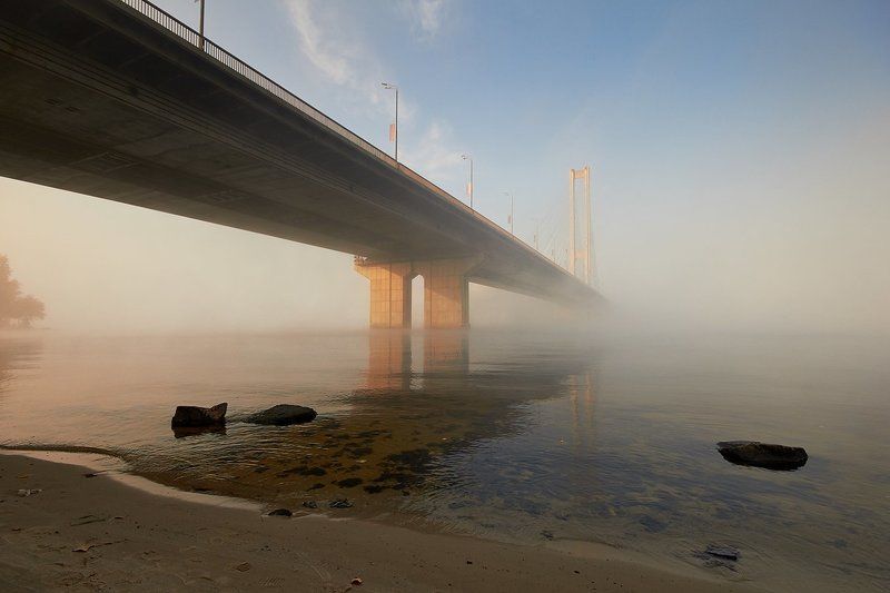 Из прошлогоphoto preview