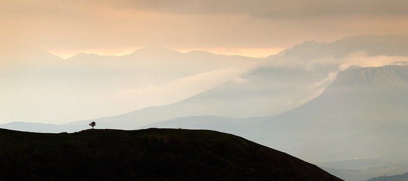 Хребтыphoto preview