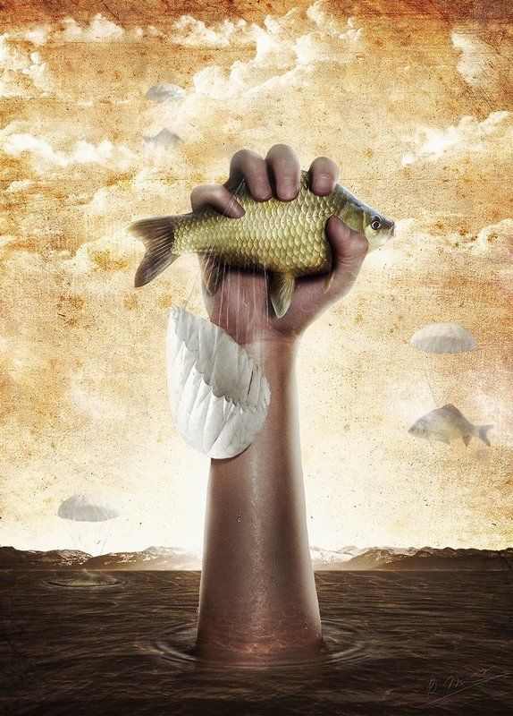 Fish, Shipulin, Vladimir, Владимир, Рыба, Шипулин * * *photo preview