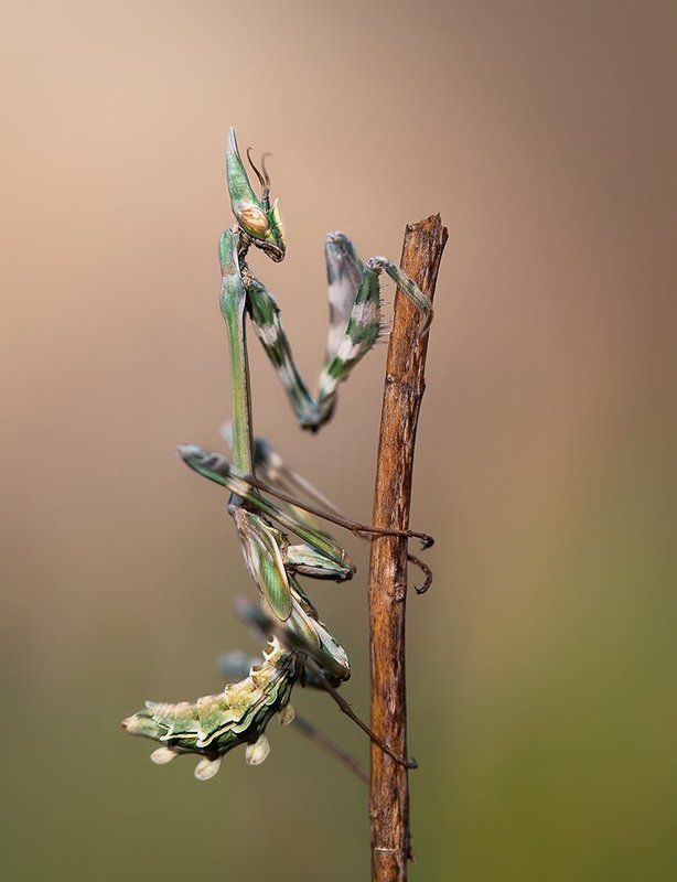 What\'s up ?photo preview