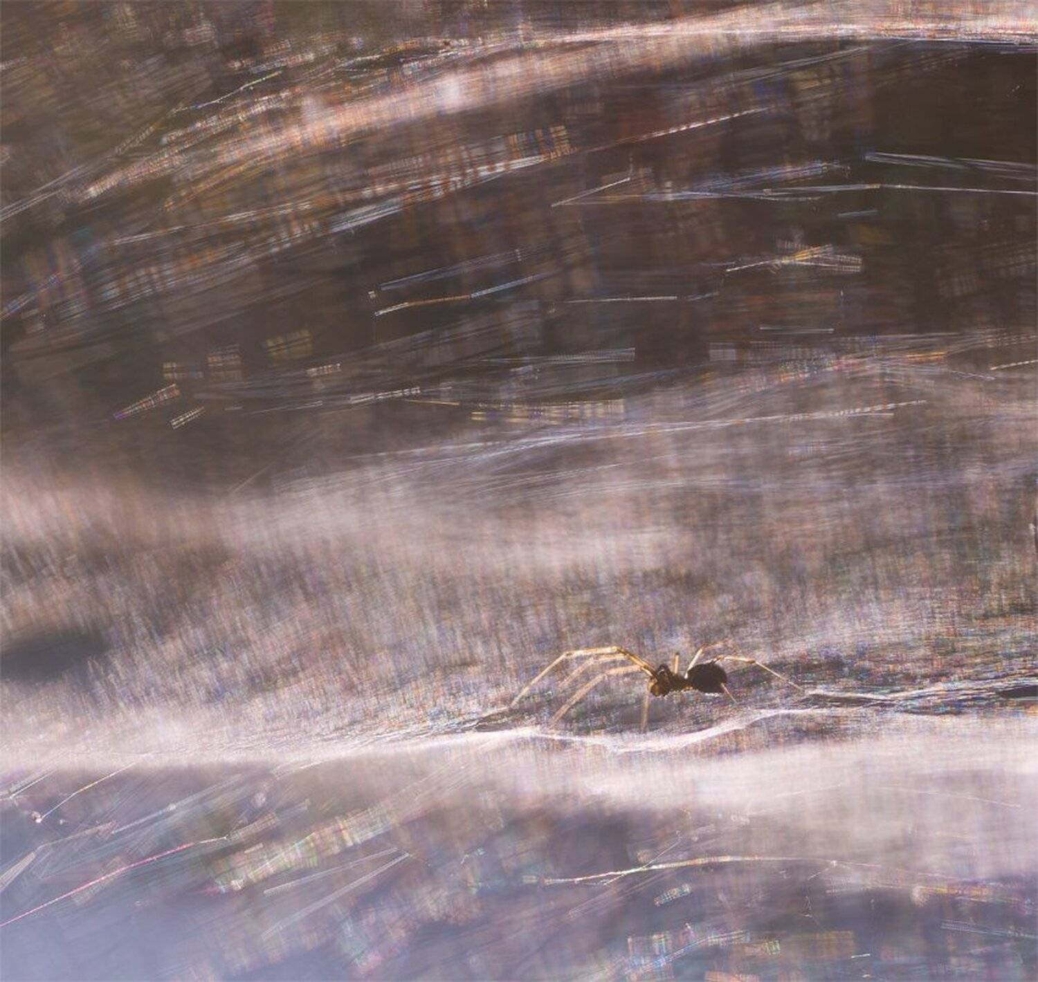 Дома бывают разные.... Автор: Геннадий Мещеряков , Геннадий Мещеряков