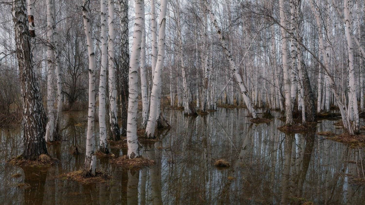 Весенние разливы. Автор: marateaman аргази, половодье, разлив, marateaman