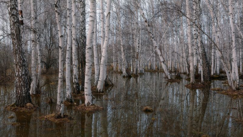 аргази, половодье, разлив Весенние разливы фото превью