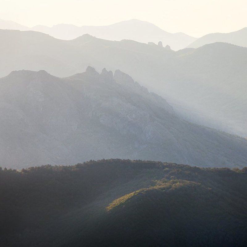 Хребтыphoto preview