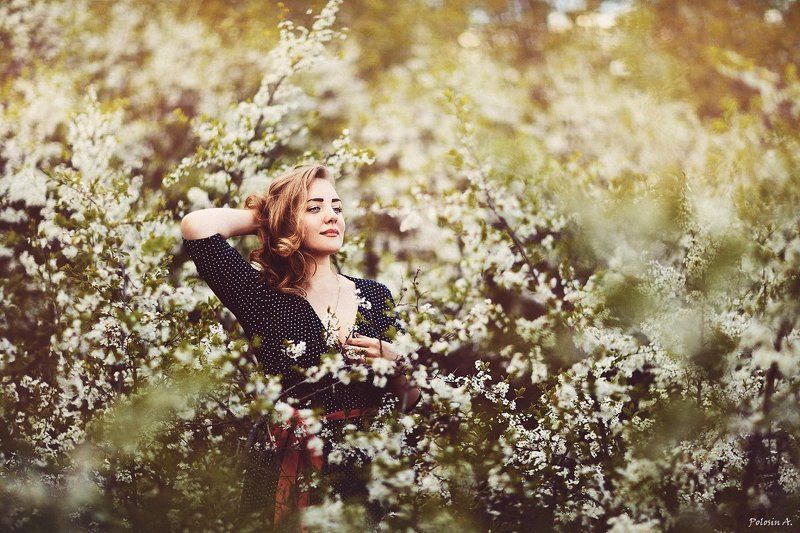 В садуphoto preview