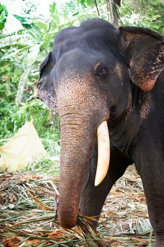 из-за угла фото превью