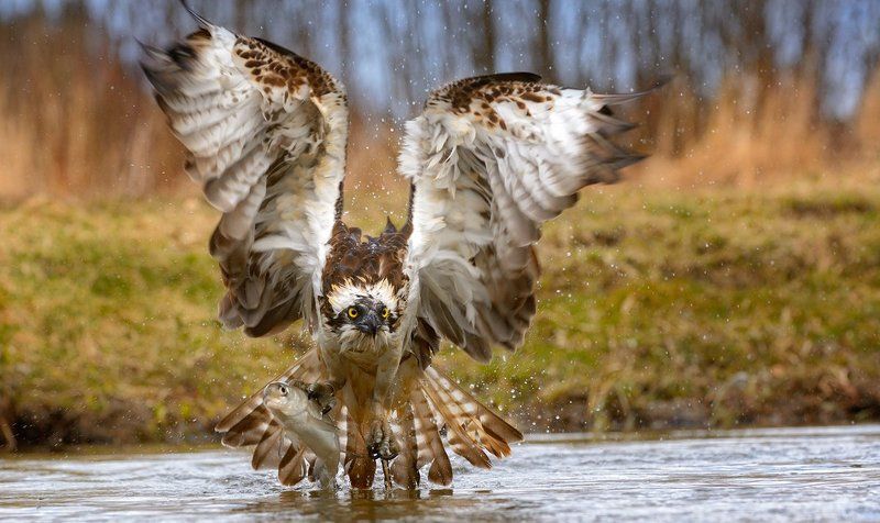 мастер-класс по ловле рыбыphoto preview