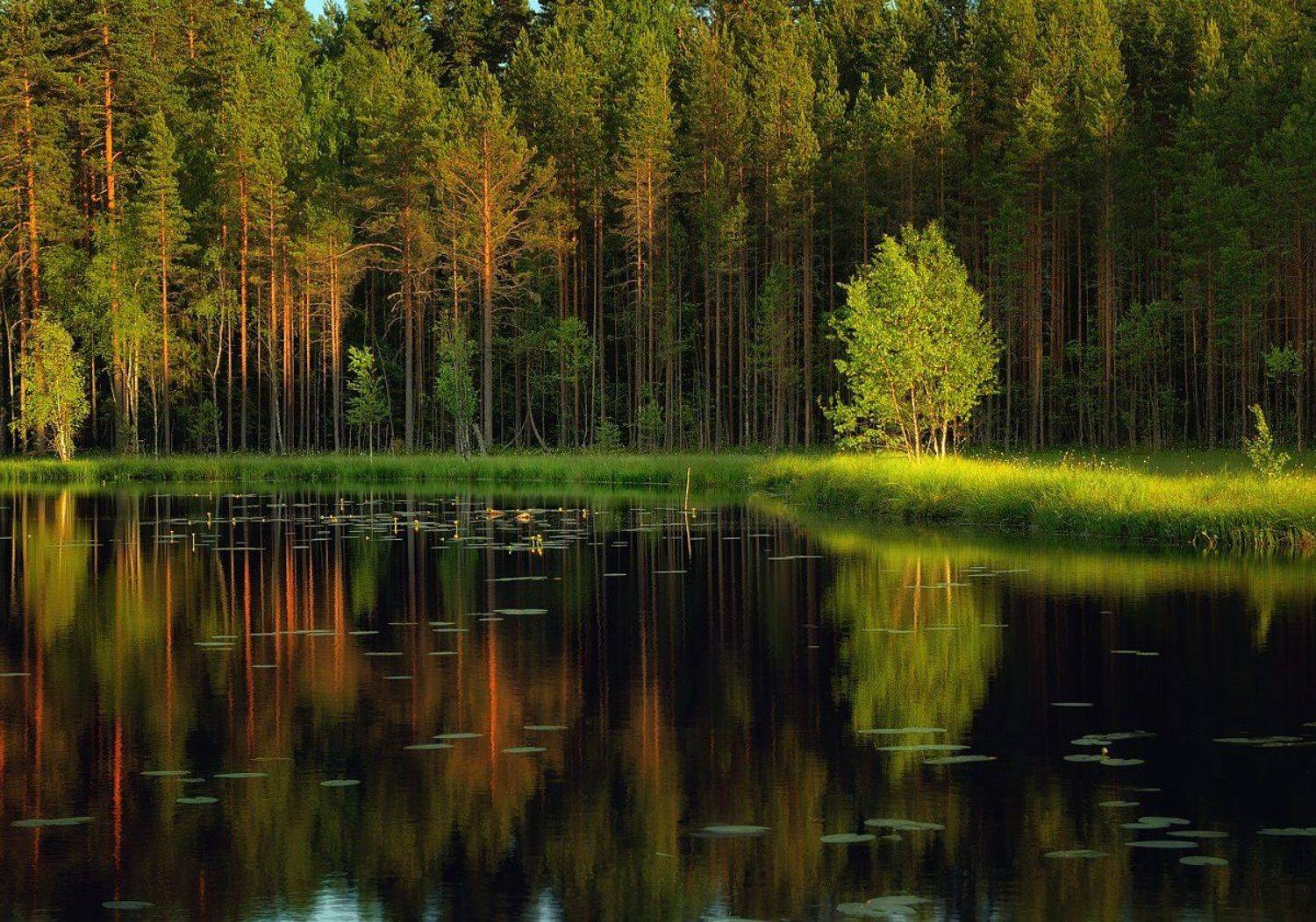 Вечер на том берегу. Автор: Ivvian , Ivvian