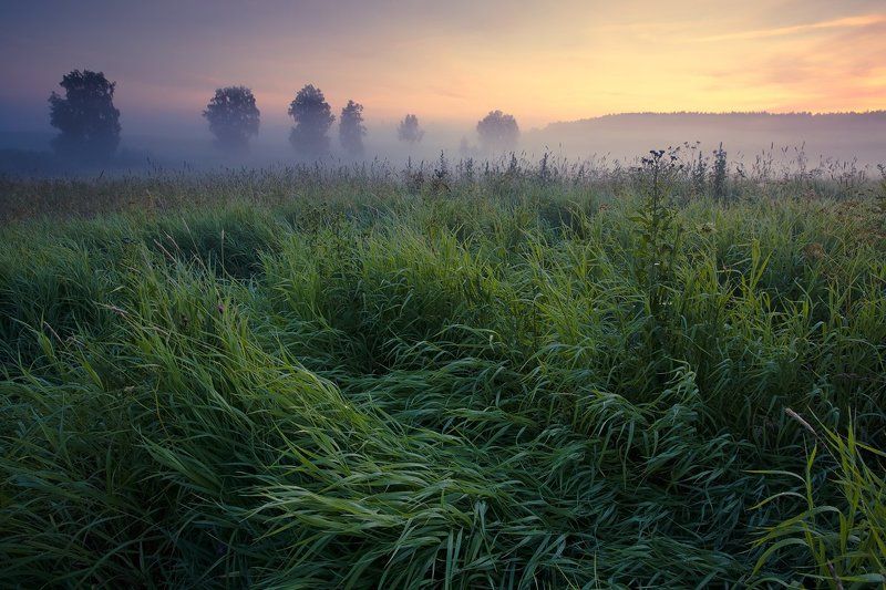 На встречу тумануphoto preview