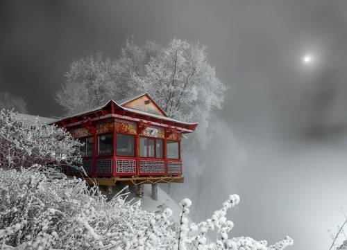 В городском парке