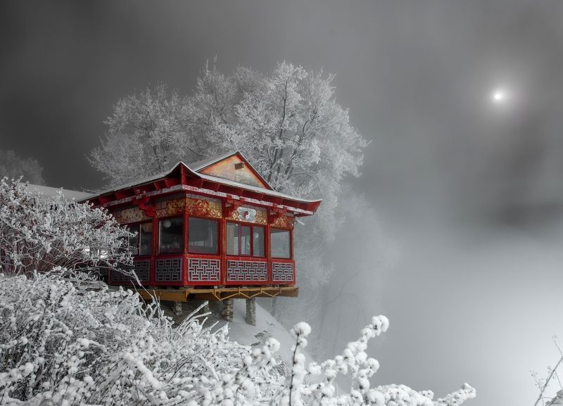 В городском парке фото превью