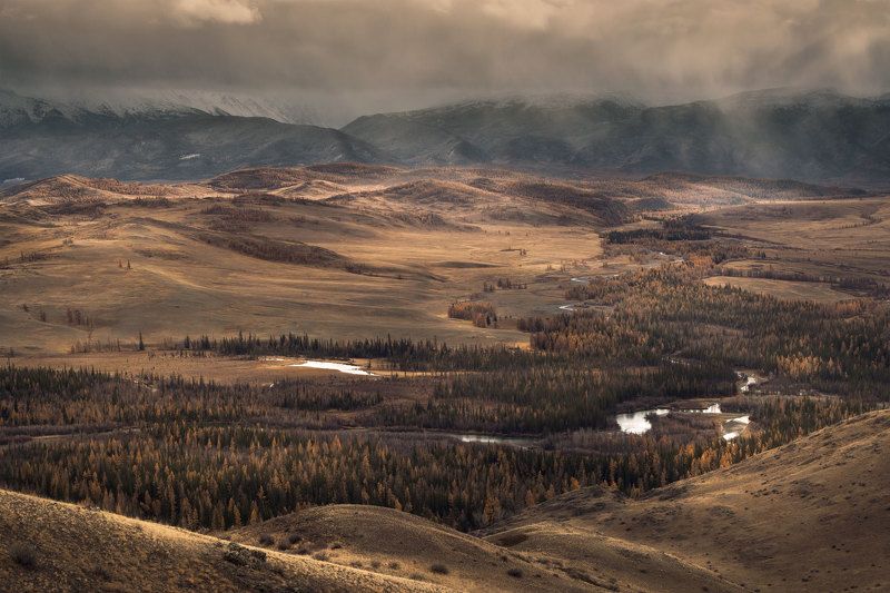 алтай, осень, северо-чуйский хребет, золотая осень, горный алтай, курай, осень на алтае Алтайская осеньphoto preview