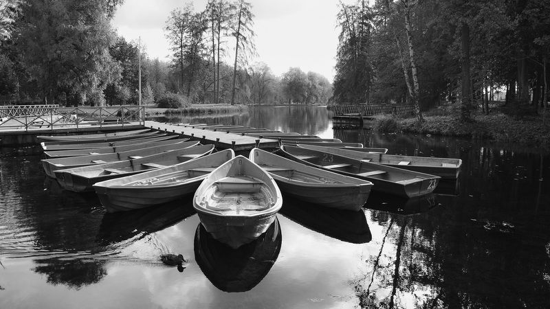 осень, природа, тишина, россия, питер, город, парк, озеро, лодки Осенняя симфония.photo preview