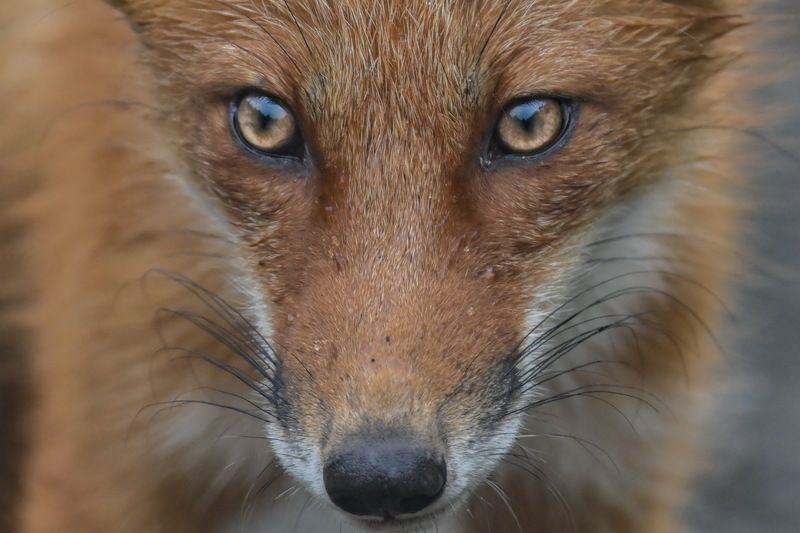 В глаза мне смотри! И не ври никогда!photo preview