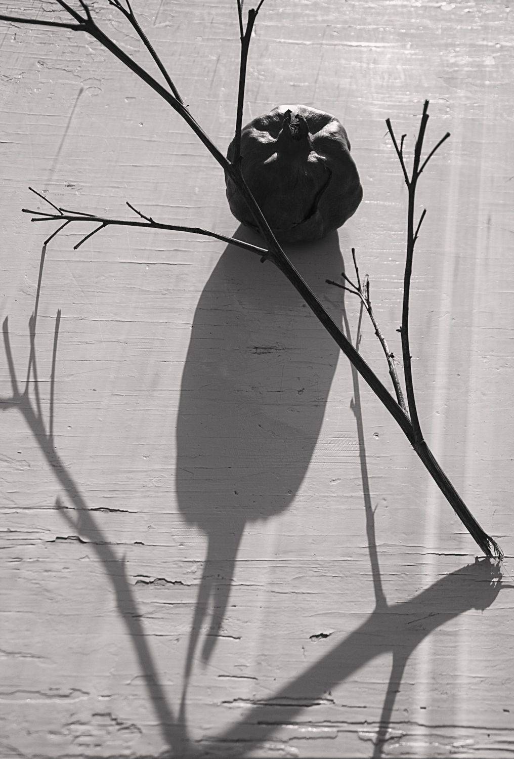 натюрморт, минимализм, Алексейчик Ольга