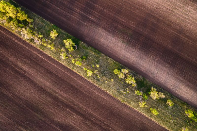 россия, оренбургская область, оренбуржье, степь, долгие горы, весна, поле, геометрия, квадрокоптер, дрон, аэрофотография Диагональphoto preview