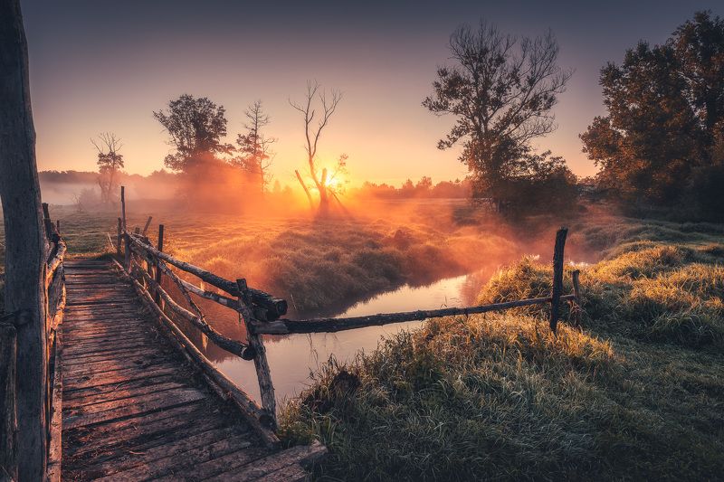 Magical morningphoto preview