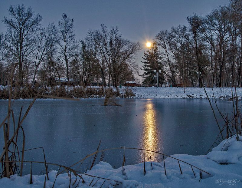 зима, январь, снег, лёд, луна, пруд Полнолуние на прудуphoto preview