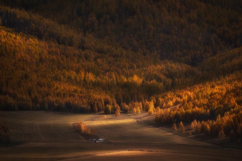 алтай, осень В плену у осениphoto preview