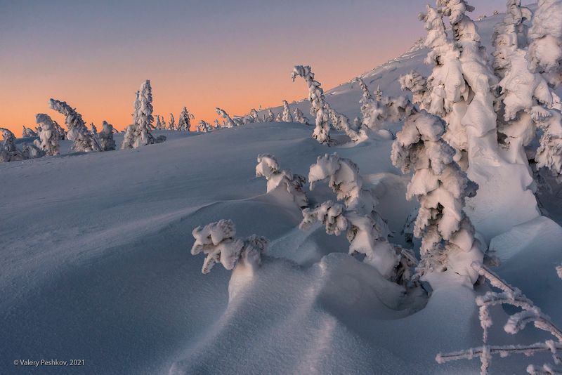 красочный, рассвет, сумерки, пихты, снег, иней, сугробы, зима, гора курган, шерегеш, горная шория Pro пастельные сумерки …photo preview