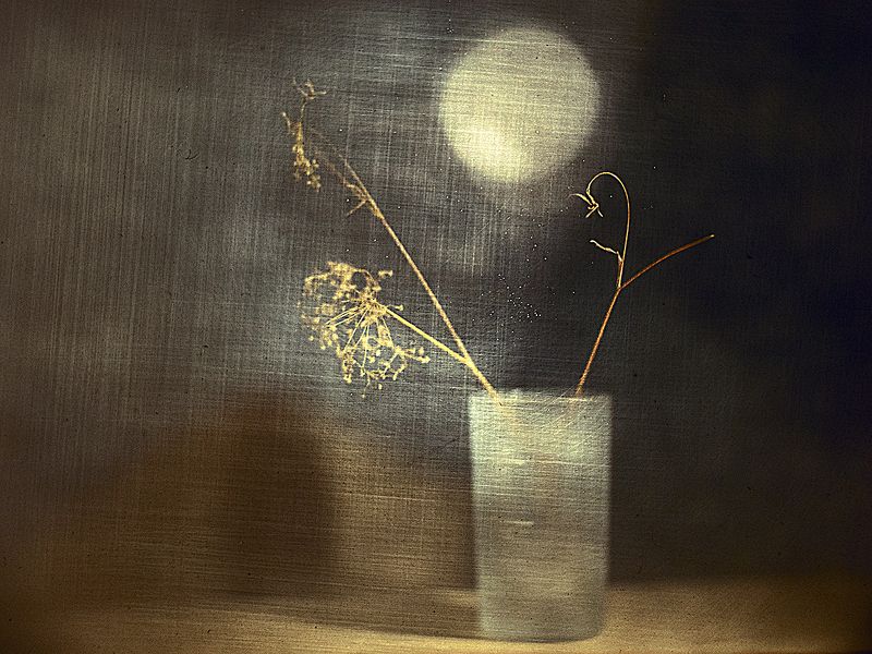 Тихая нежностьphoto preview