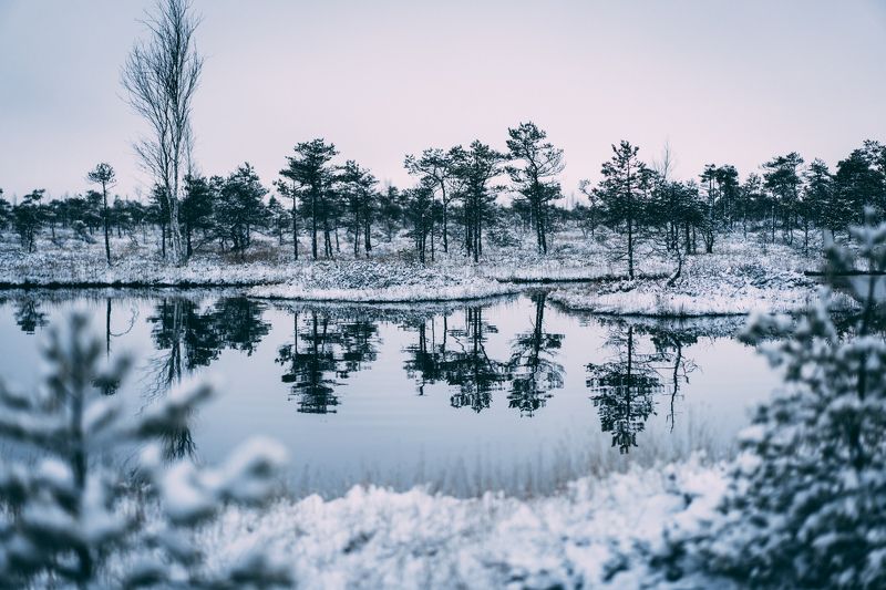 winter, sky, outdoor, new, frost, cover, environment, natural, snowy, beautiful, frozen, ice, forest, season, snow, nature,  Cold winter landscape frozen snow swamp Kemeriphoto preview