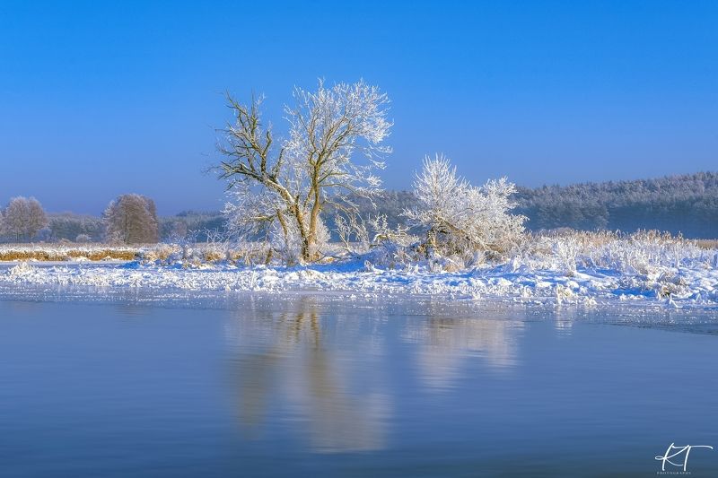 winter 2021  landscape  December 2021  river  Gwda  reflection in water  frost  snow  trees  light  forest Gwda River - Frost painted - (2)photo preview