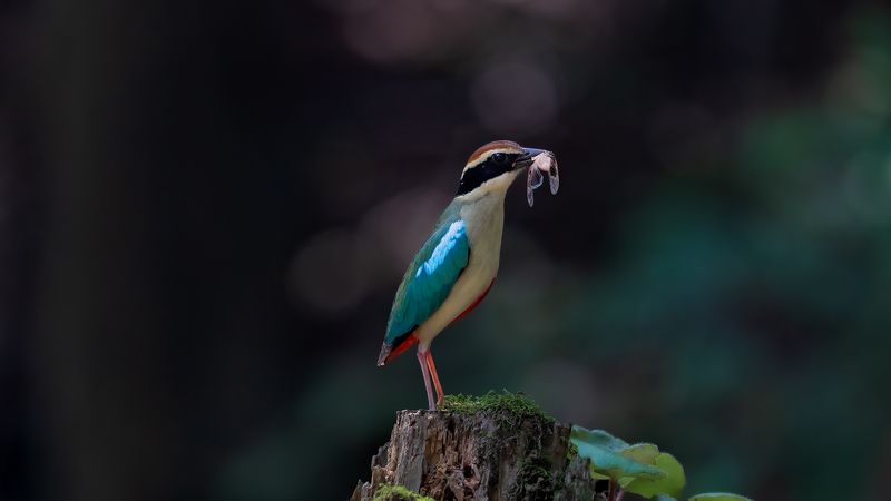 экологическая, фотография, китая экологическая фотография Китаяphoto preview