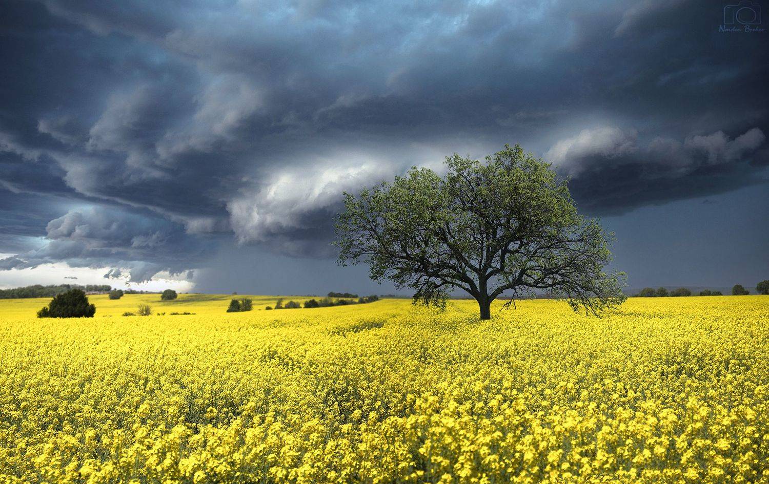 България,Рапица,Пейзаж, Naiden Bochev