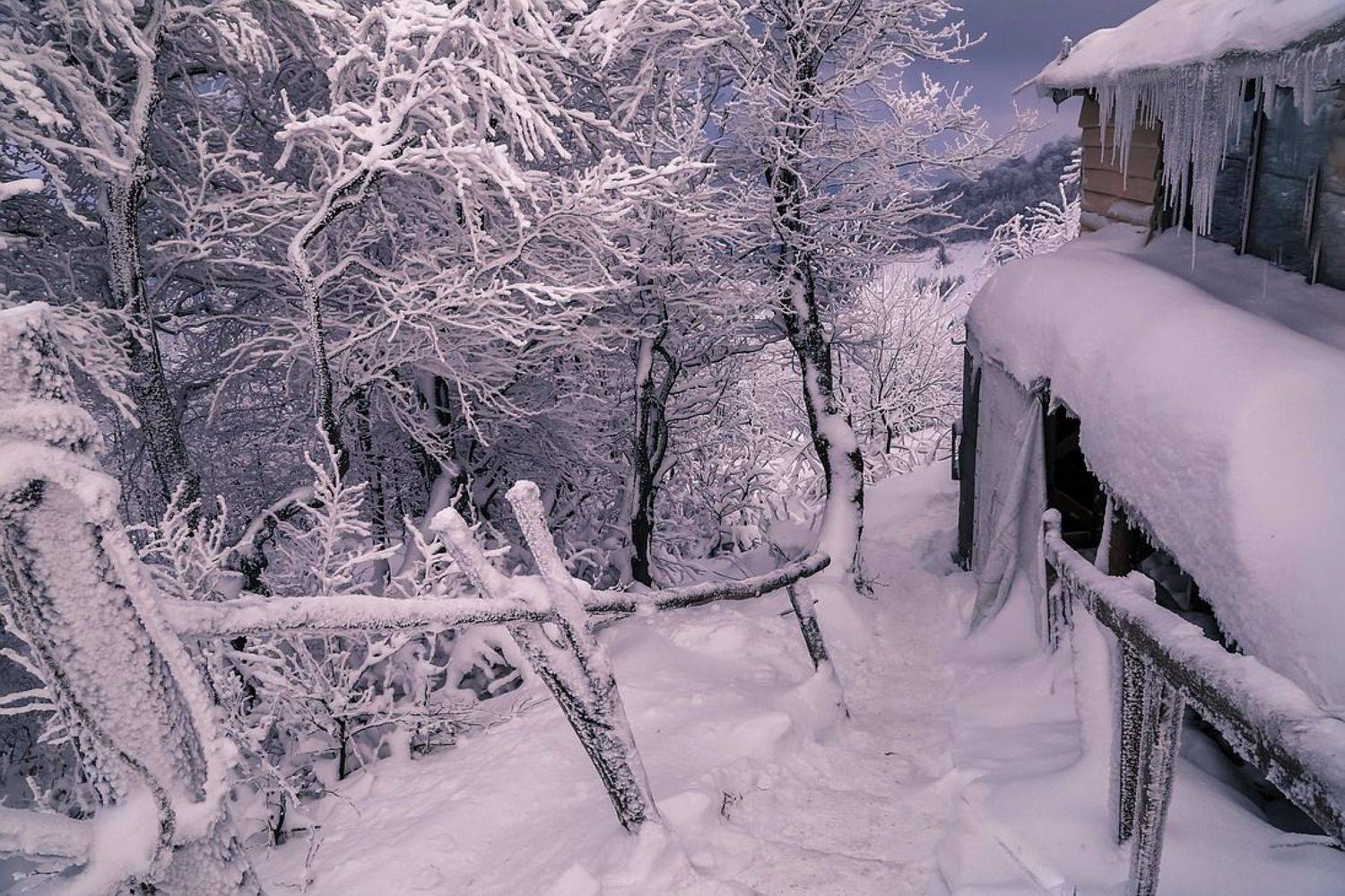 , Вячеслав Мищенко