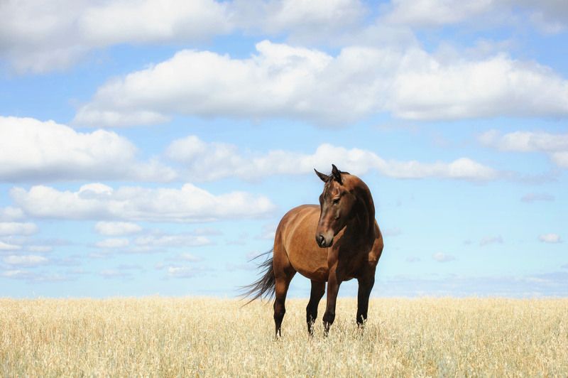 Это был прекрасный летний день!photo preview