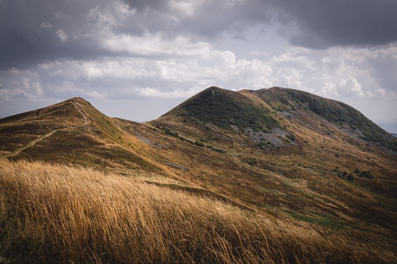 tarnica, bieszczady, połonina, wetlińska, pasture, wetlina, smerek, cisna, ustrzyki, wołosate, caryńska, poland, fiends, mountains, podkarpacie, podkarpackie, tourism, trekking, hiking, green, grass, autumn, brown, gold, sky, blue, cottage, pooh, trail, p Tarnicaphoto preview