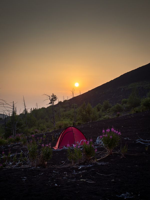 Последний лучphoto preview