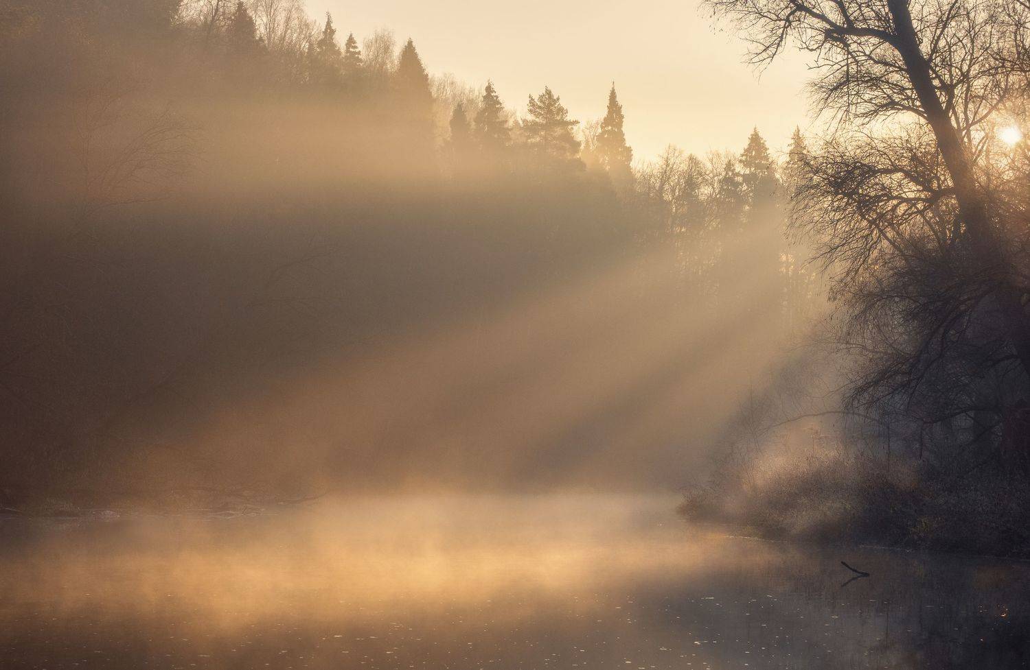 Утро на реке. Автор: Мозжухин Максим , Мозжухин Максим