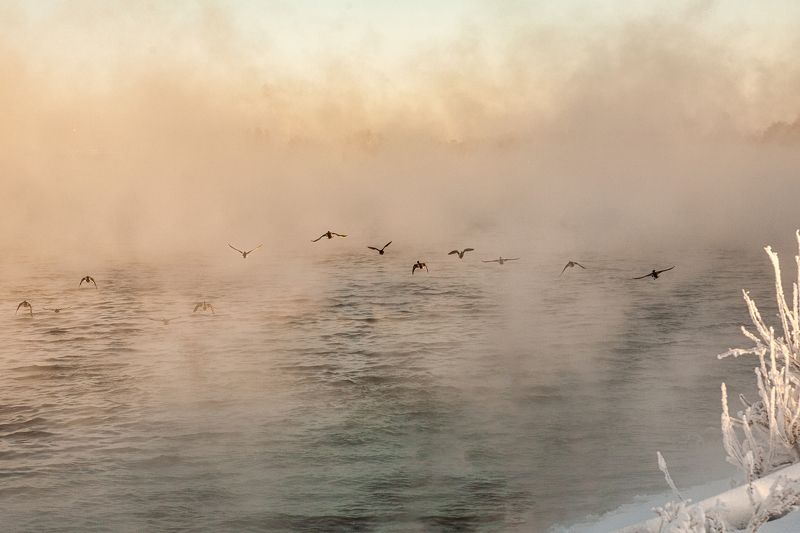 В рядочекphoto preview