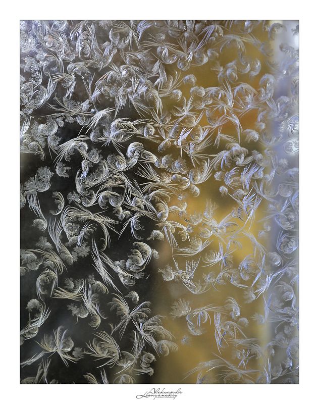 Изморозь 16 январяphoto preview