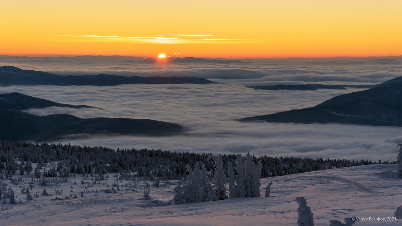красочный, рассвет, пихты, снег, иней, сугробы, зима, гора курган, шерегеш, горная шория Быстротечный рассвет над Шерегешем …photo preview