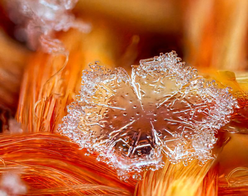 snow, snowflake, macro, micro Snowflakephoto preview