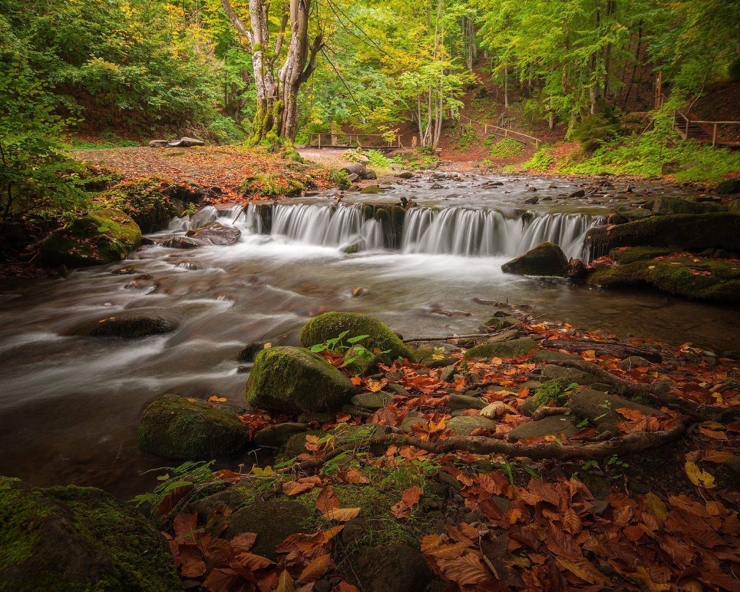 Карпаты. Автор: Назар Рябуха горы, карпаты, водопад, шипот, река, лес, украина, Назар Рябуха