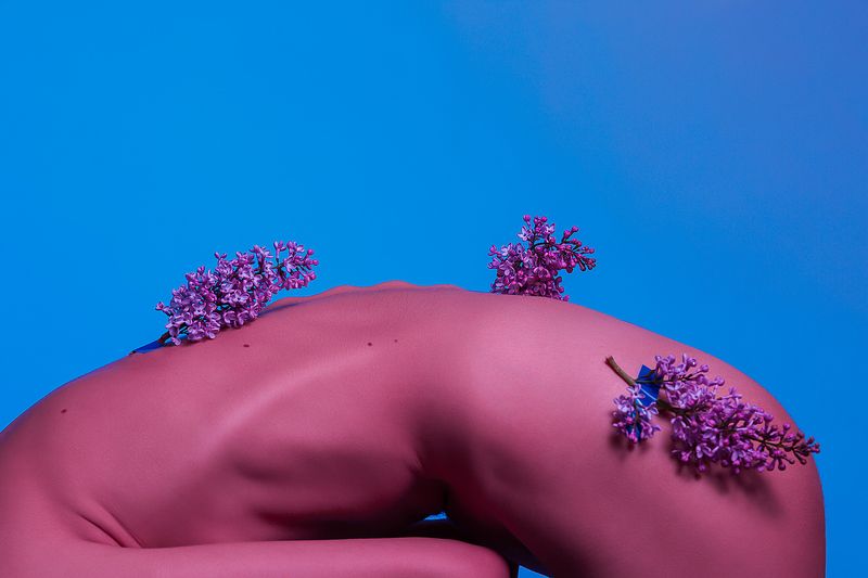 Маленькая веточка сирениphoto preview