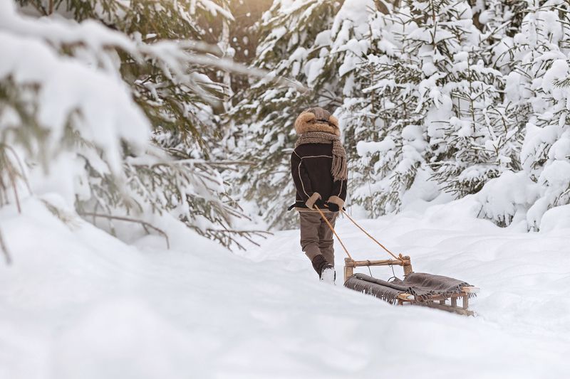 Однажды в студёную зимнюю пору...photo preview
