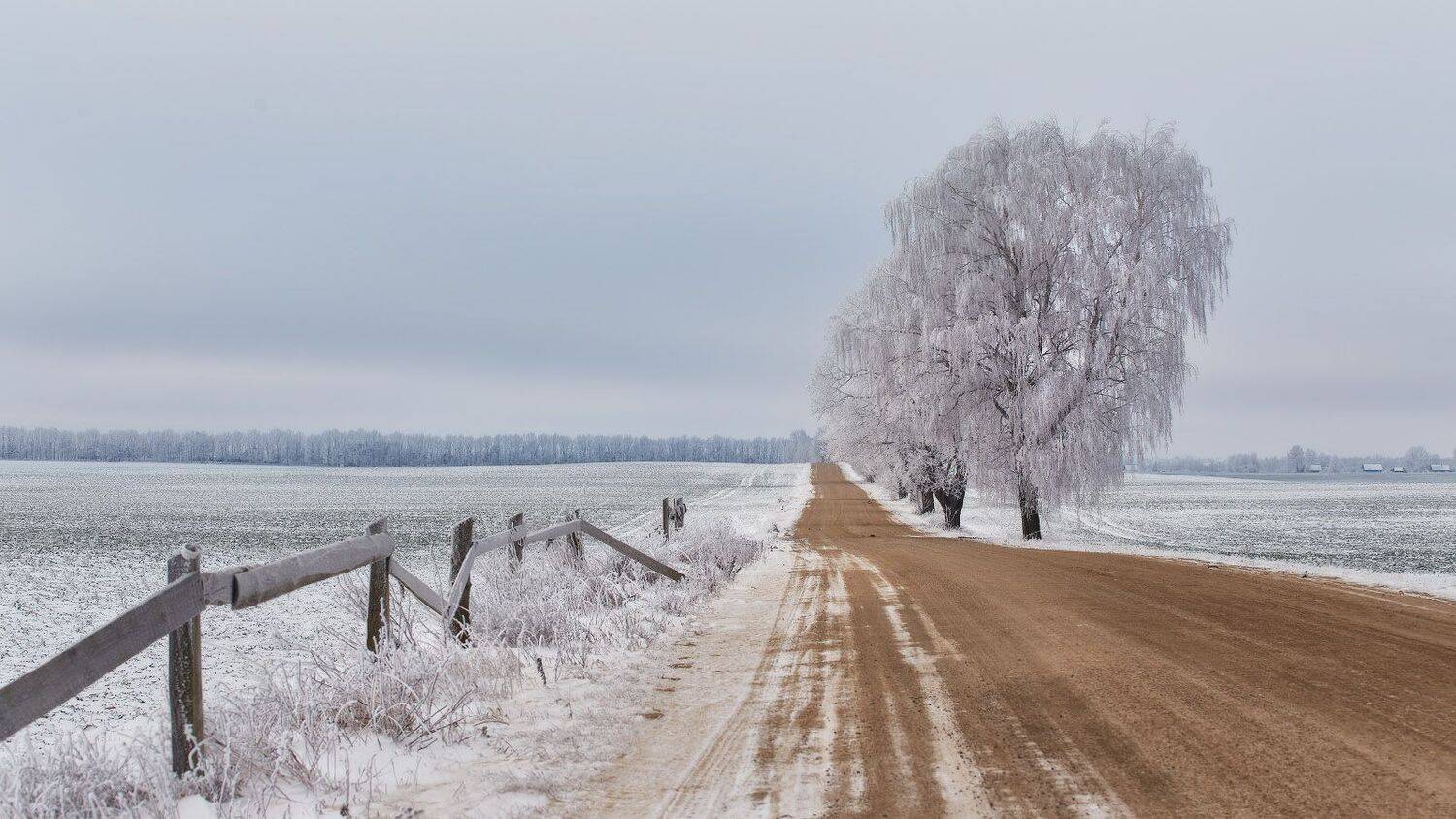 аллея, беларусь, декабрь, деревня, дорога, зима, минск и окрестности, облака, Вейзе Максим